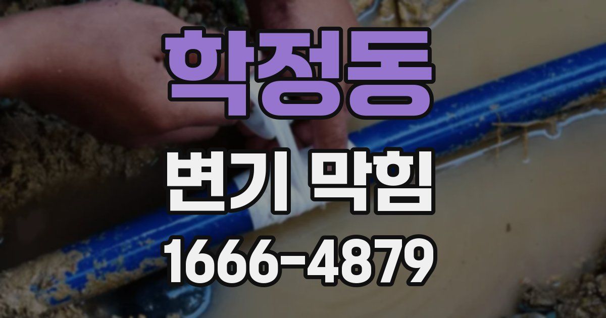 학정동 변기 막힘