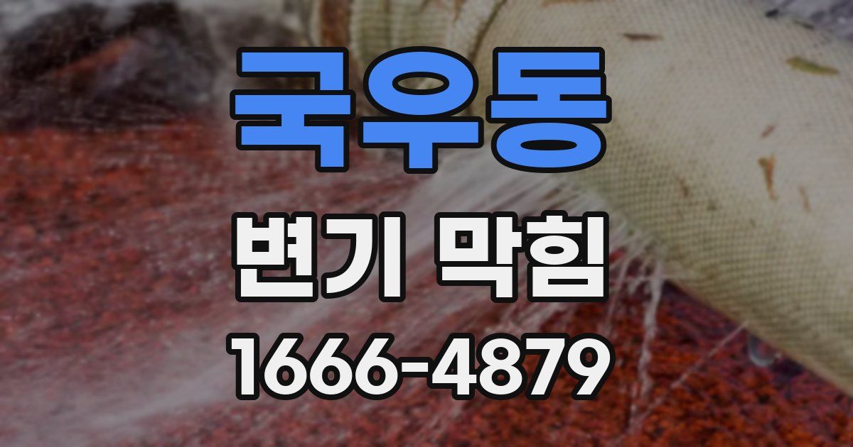 국우동 변기 막힘