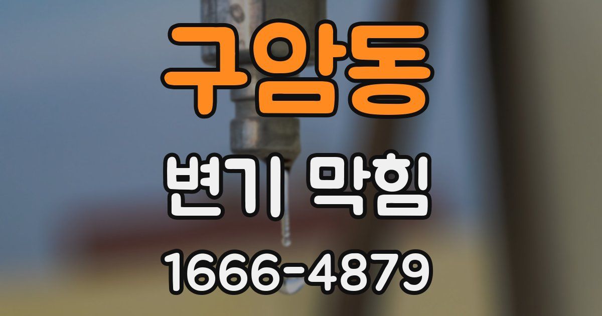 구암동 변기 막힘