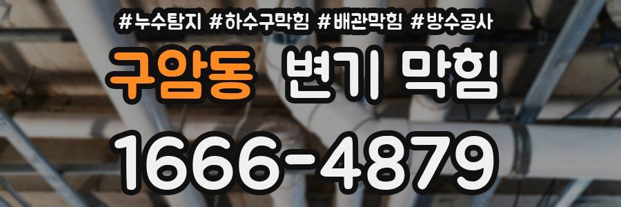 구암동 변기 막힘
