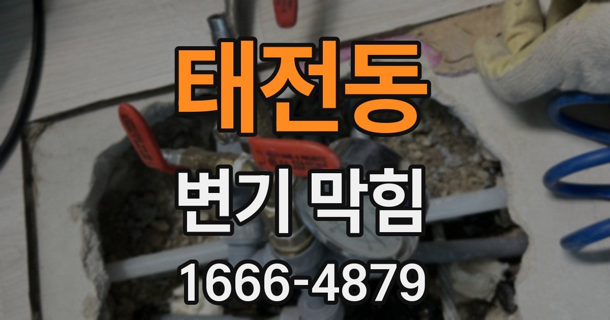 태전동 변기 막힘