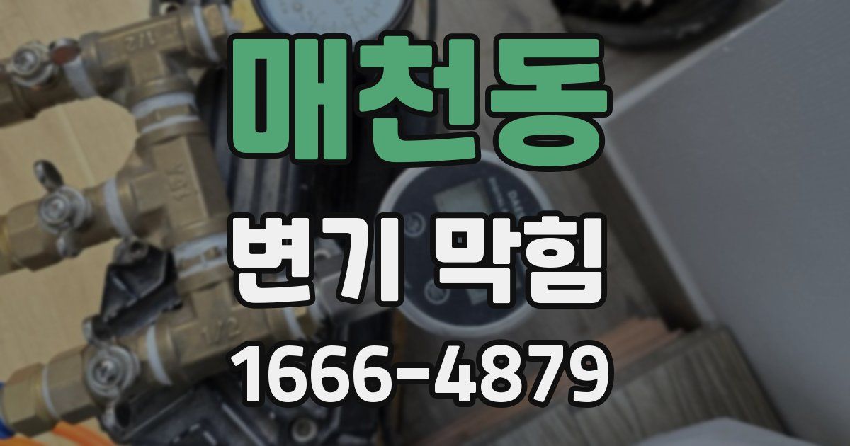 매천동 변기 막힘