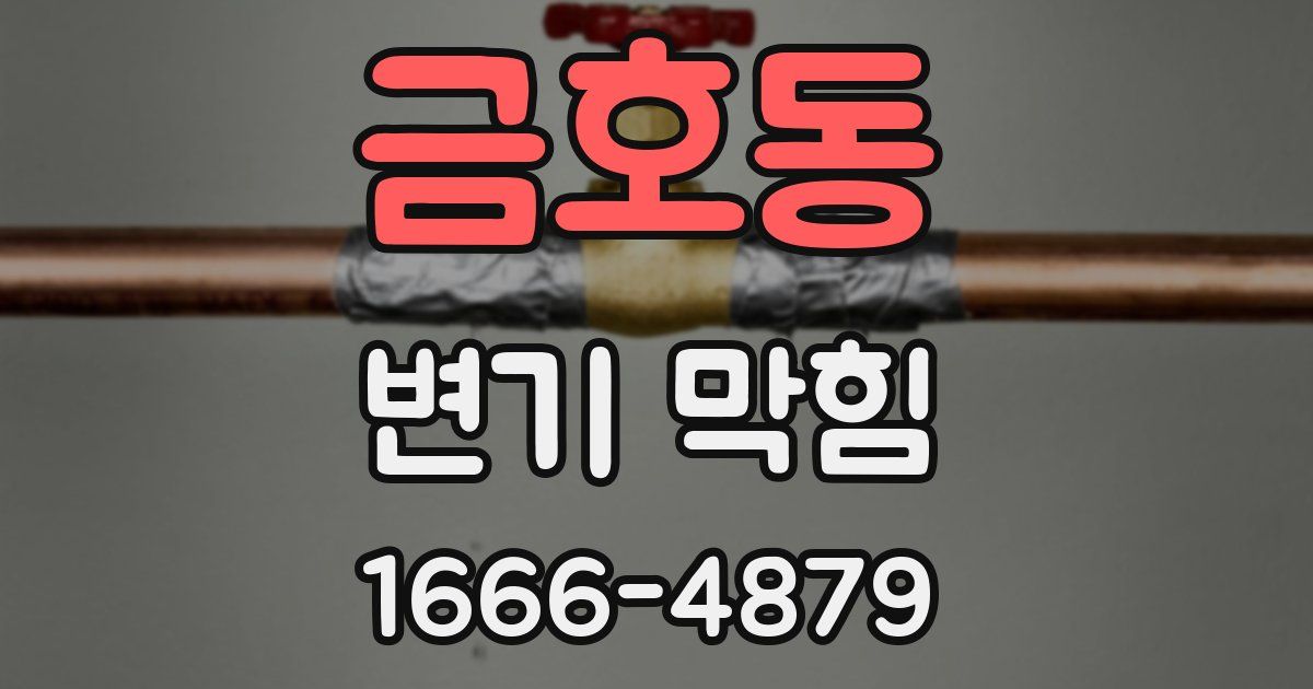 금호동 변기 막힘