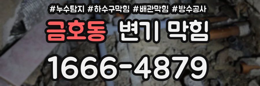 금호동 변기 막힘