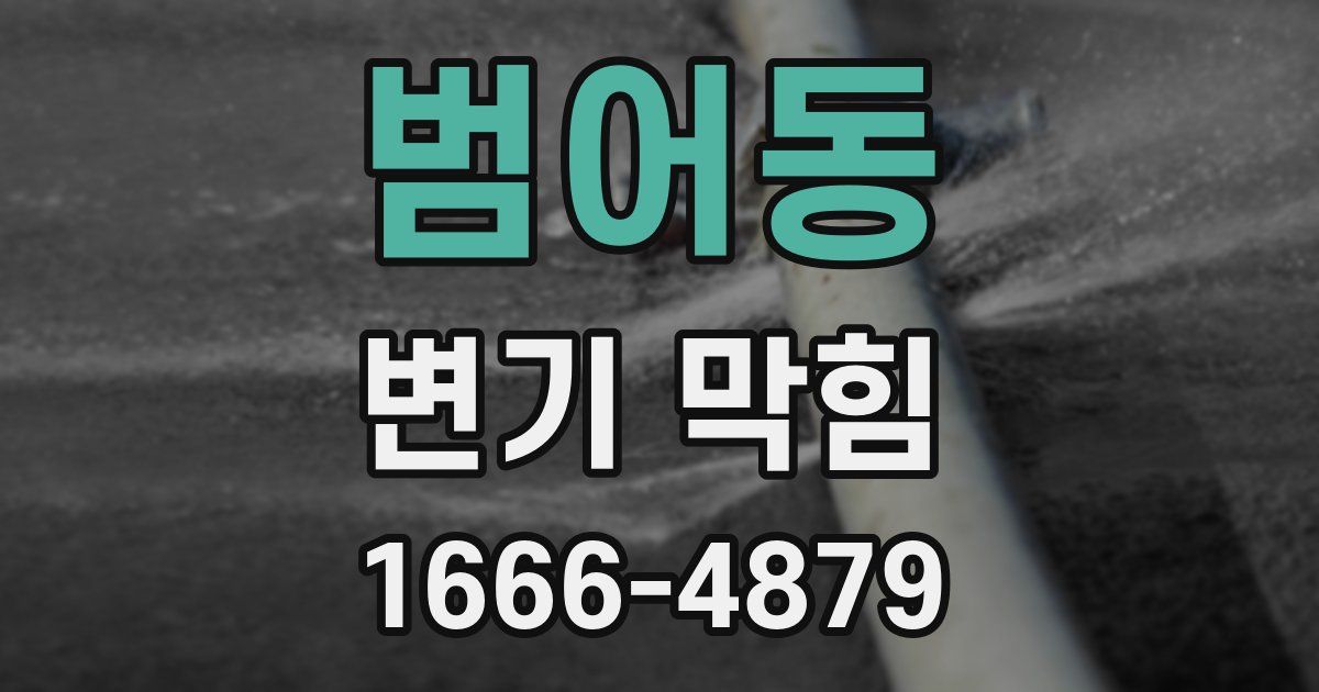범어동 변기 막힘