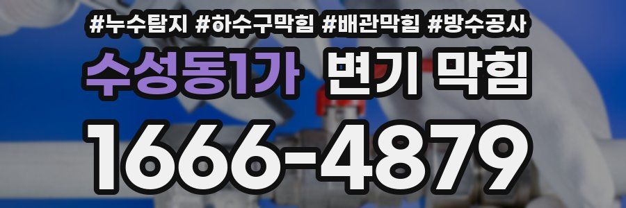수성동1가 변기 막힘