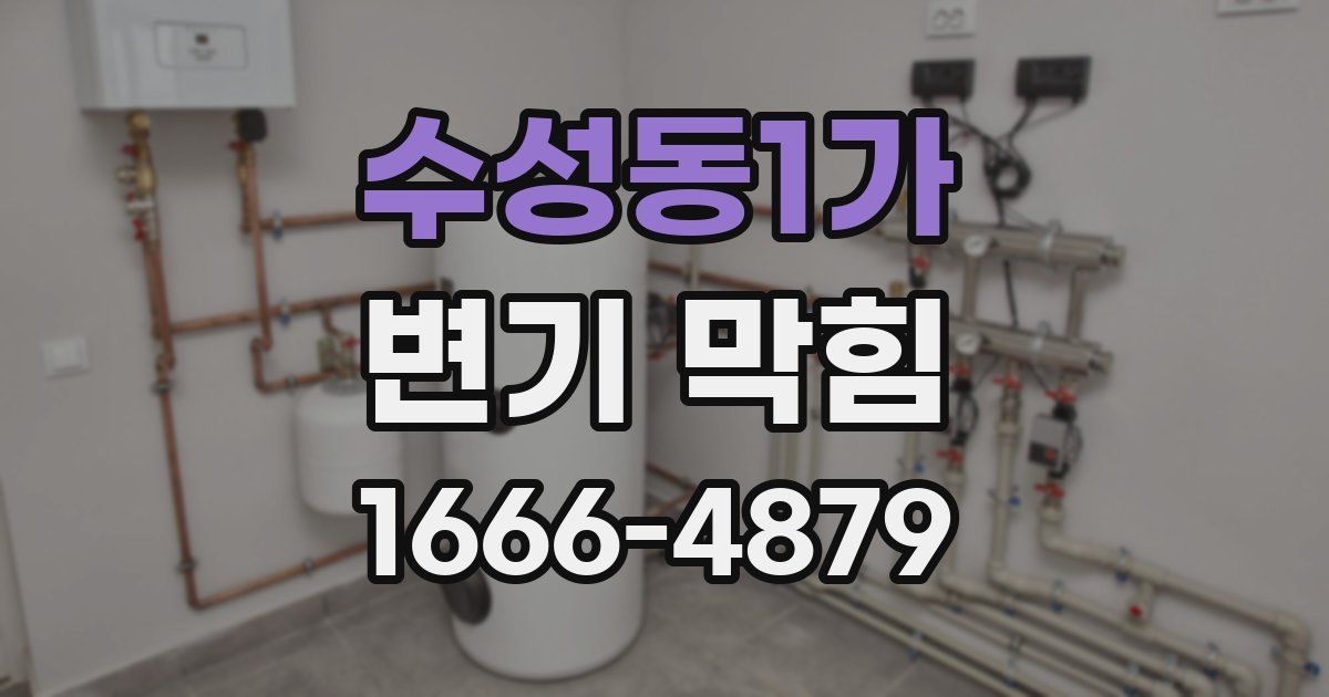 수성동1가 변기 막힘