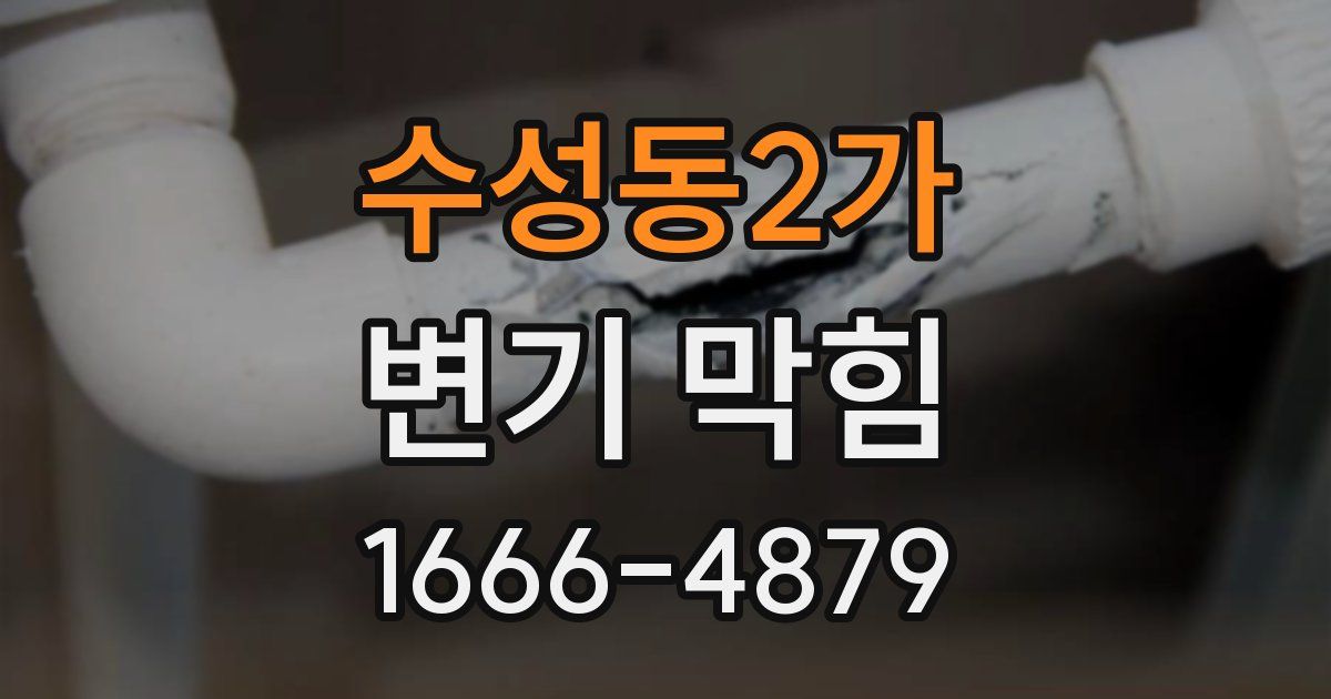 수성동2가 변기 막힘
