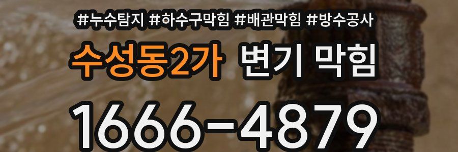 수성동2가 변기 막힘