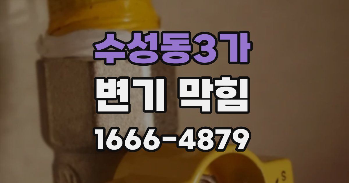수성동3가 변기 막힘