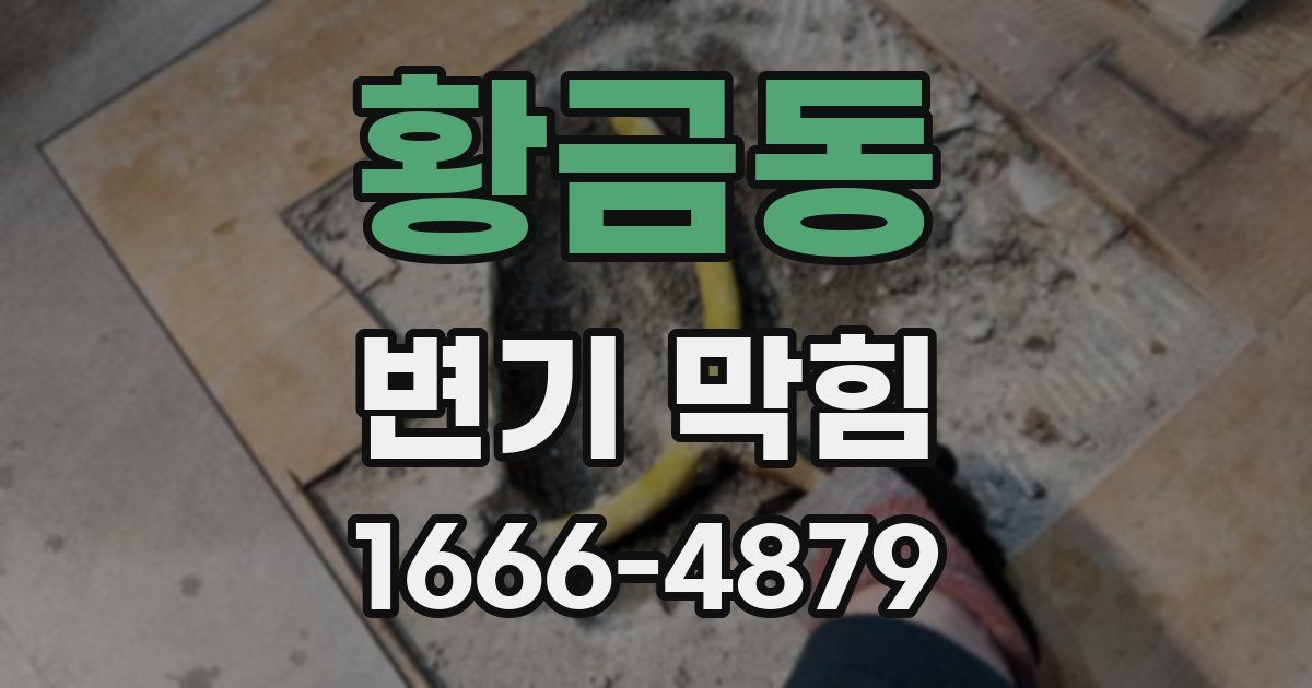 황금동 변기 막힘