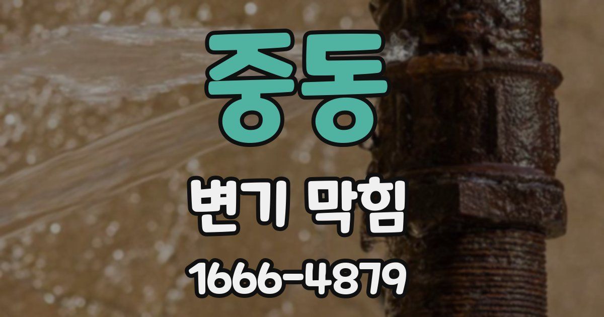 중동 변기 막힘