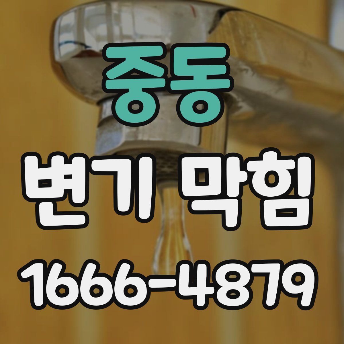 중동 변기 막힘