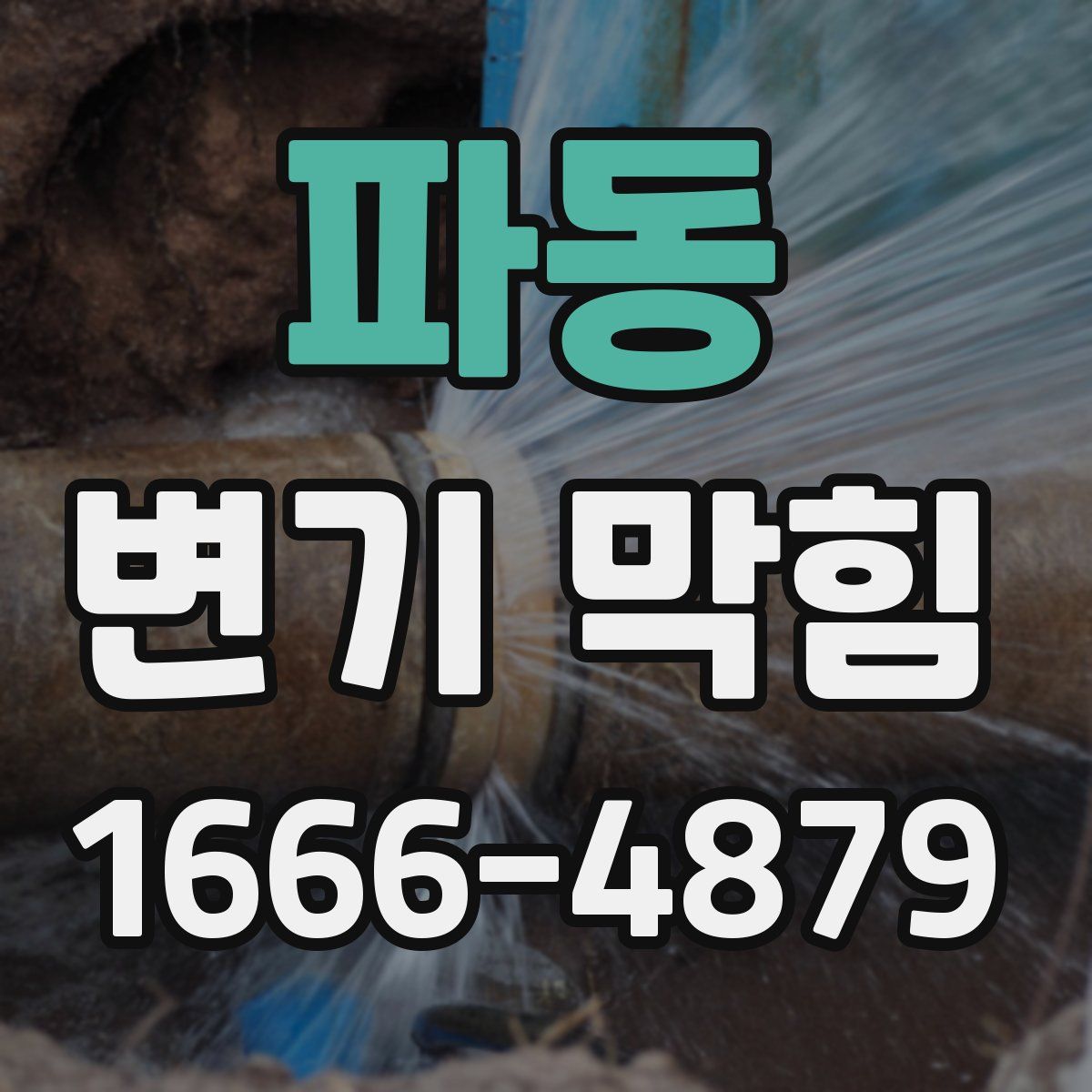 파동 변기 막힘