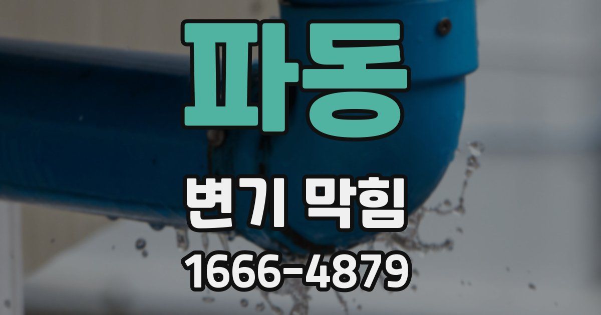 파동 변기 막힘