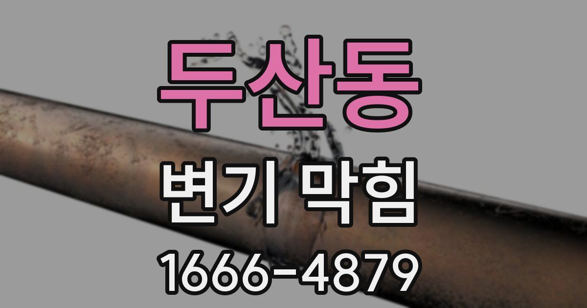 두산동 변기 막힘