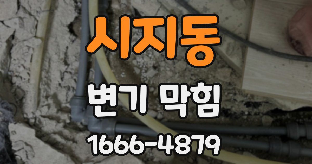 시지동 변기 막힘