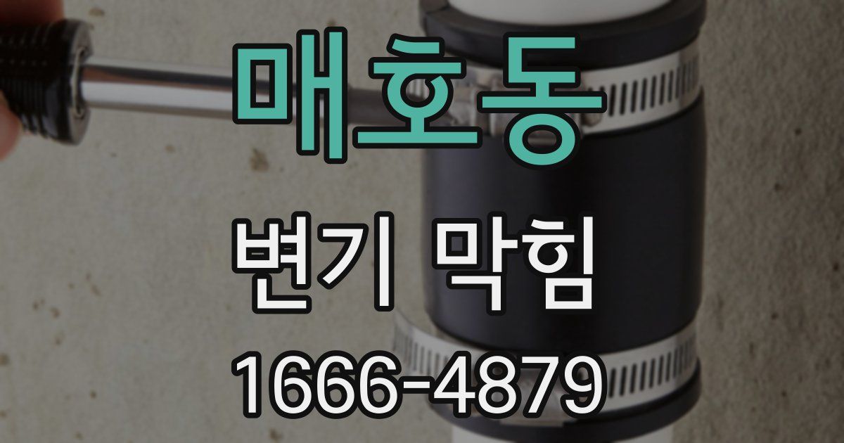 매호동 변기 막힘