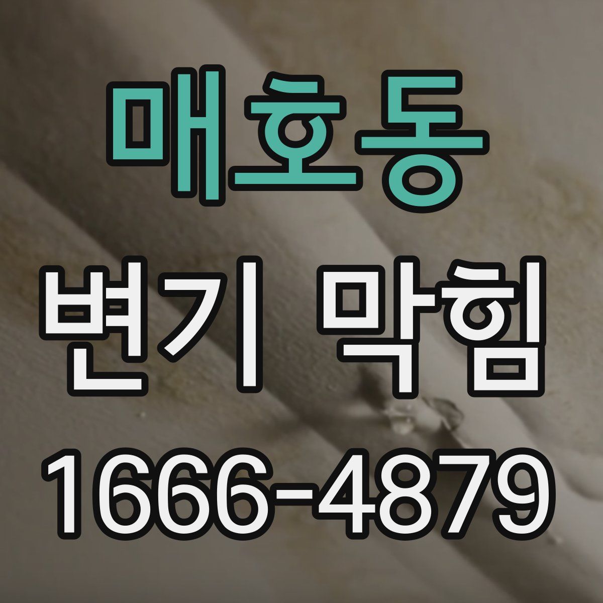 매호동 변기 막힘