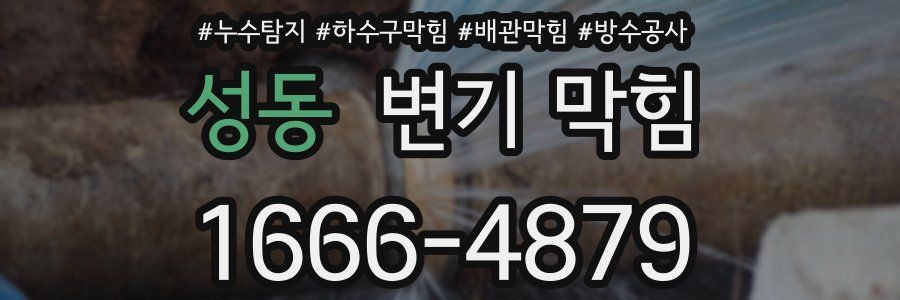 성동 변기 막힘