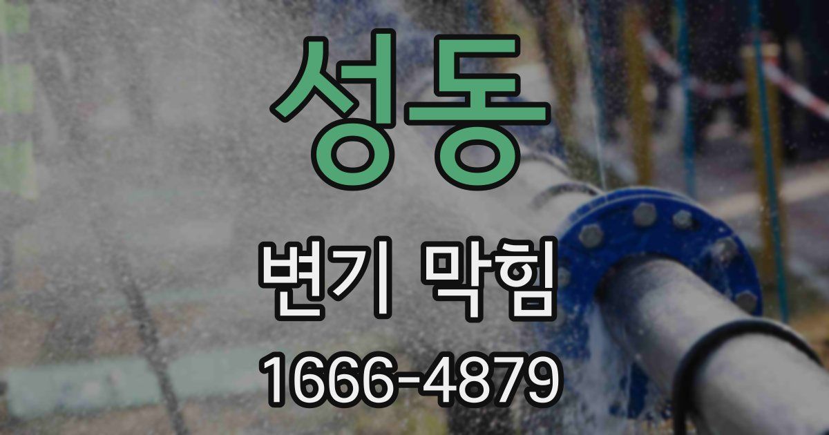성동 변기 막힘