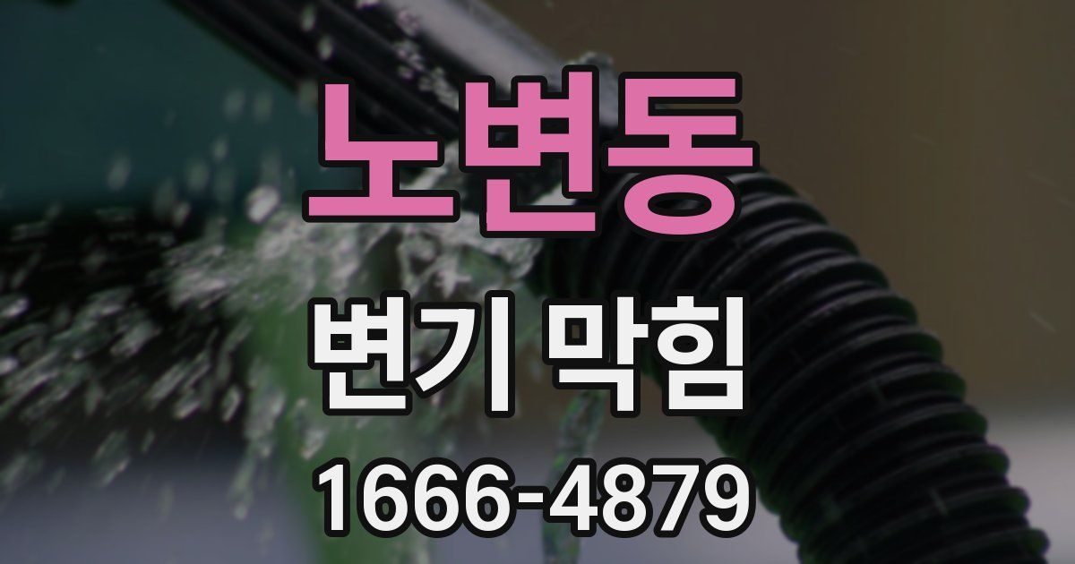 노변동 변기 막힘
