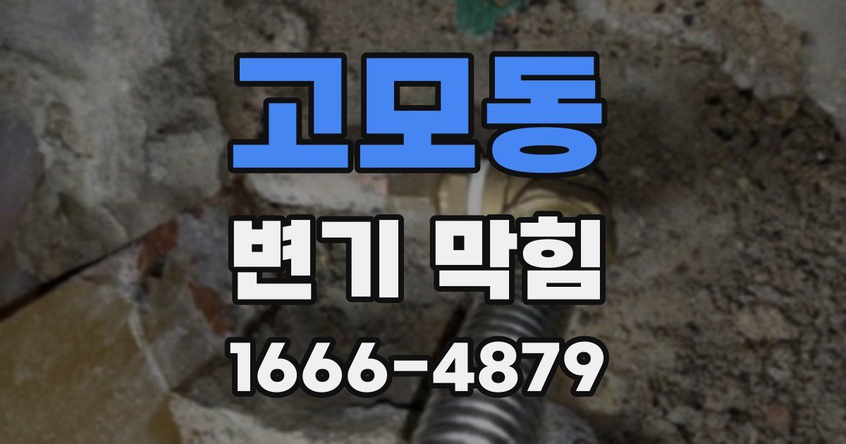 고모동 변기 막힘