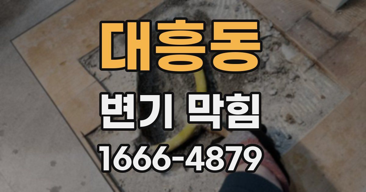 대흥동 변기 막힘