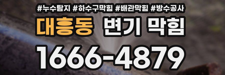 대흥동 변기 막힘