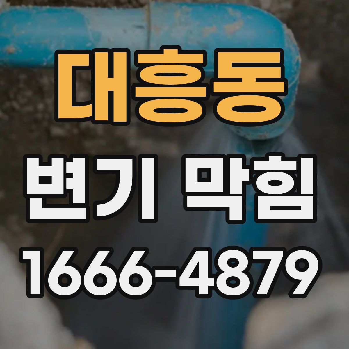 대흥동 변기 막힘