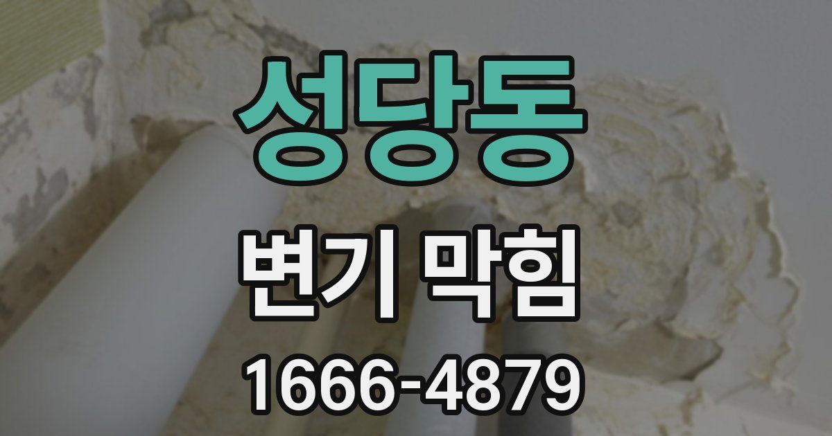 성당동 변기 막힘