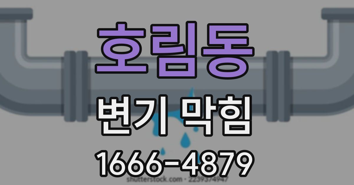호림동 변기 막힘