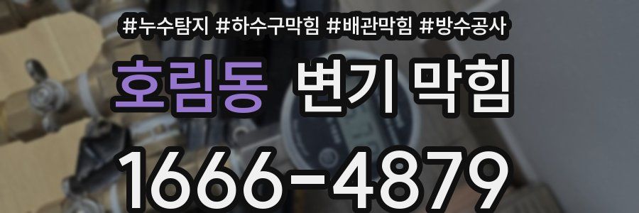 호림동 변기 막힘