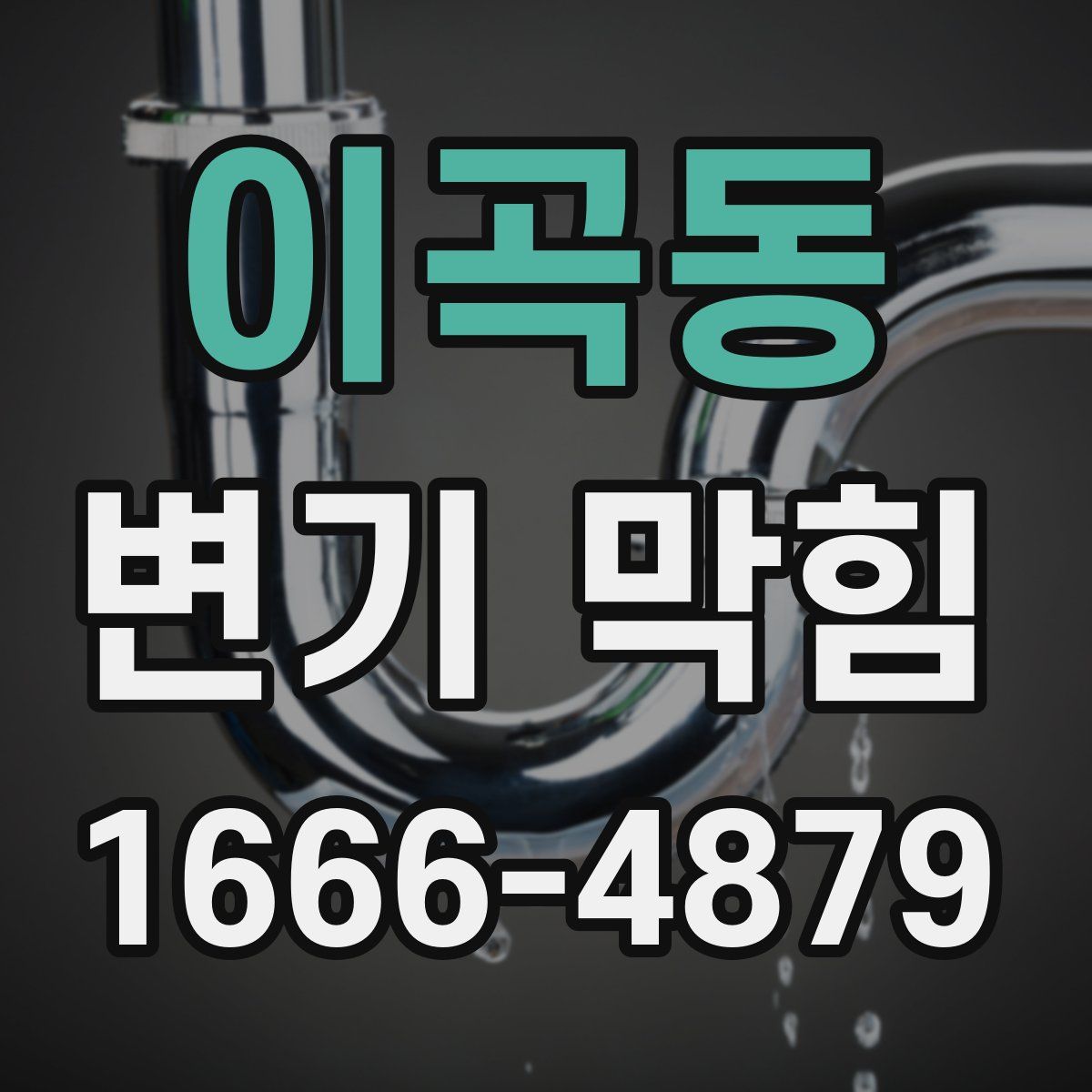 이곡동 변기 막힘