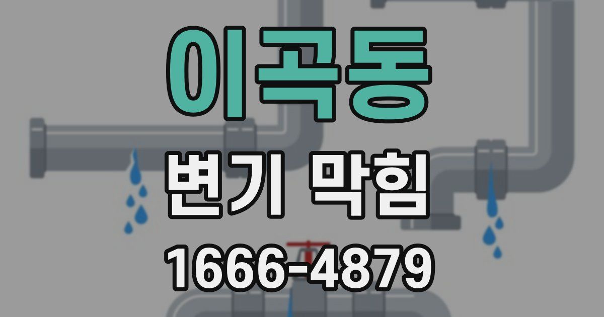 이곡동 변기 막힘