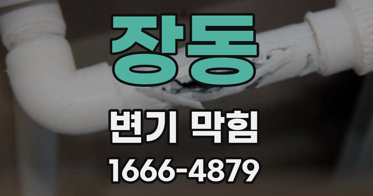 장동 변기 막힘