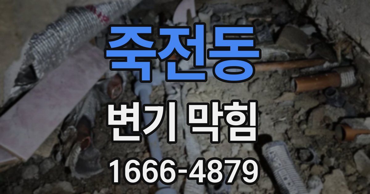 죽전동 변기 막힘