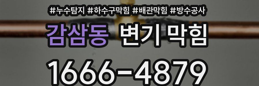 감삼동 변기 막힘