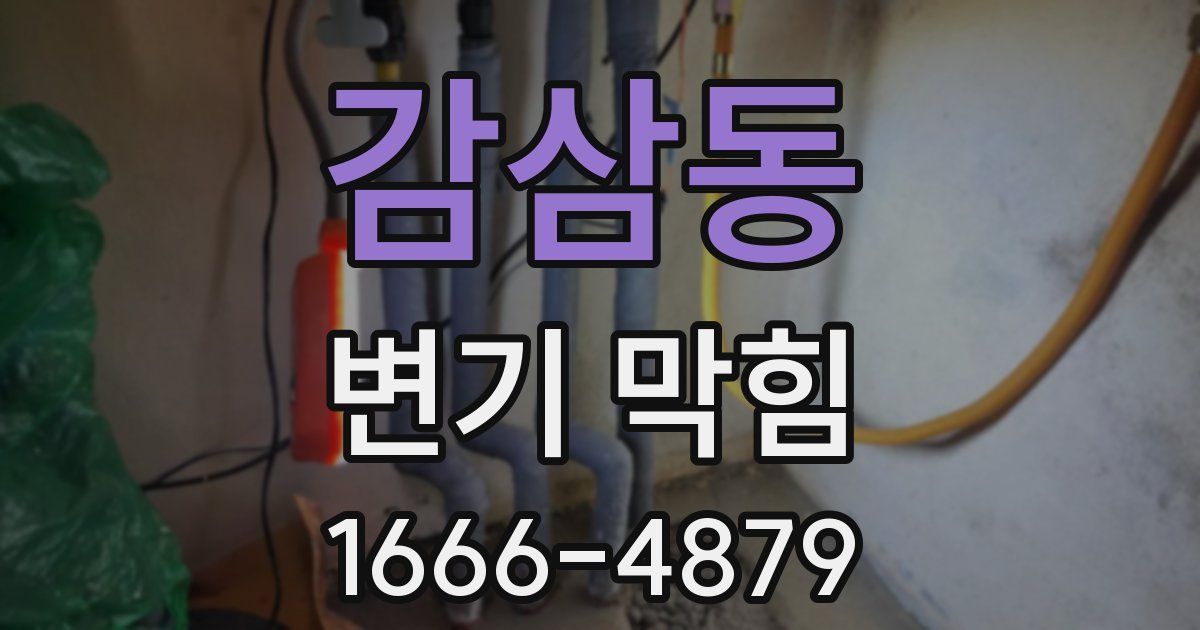 감삼동 변기 막힘