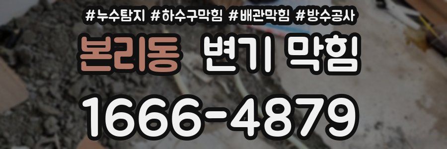 본리동 변기 막힘