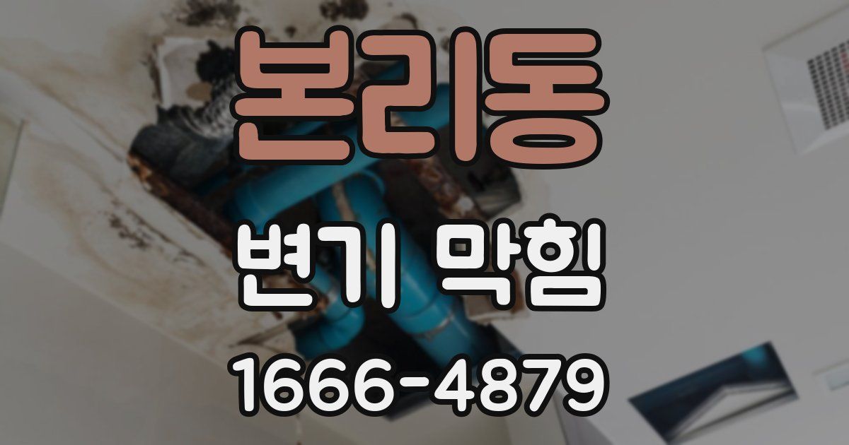 본리동 변기 막힘