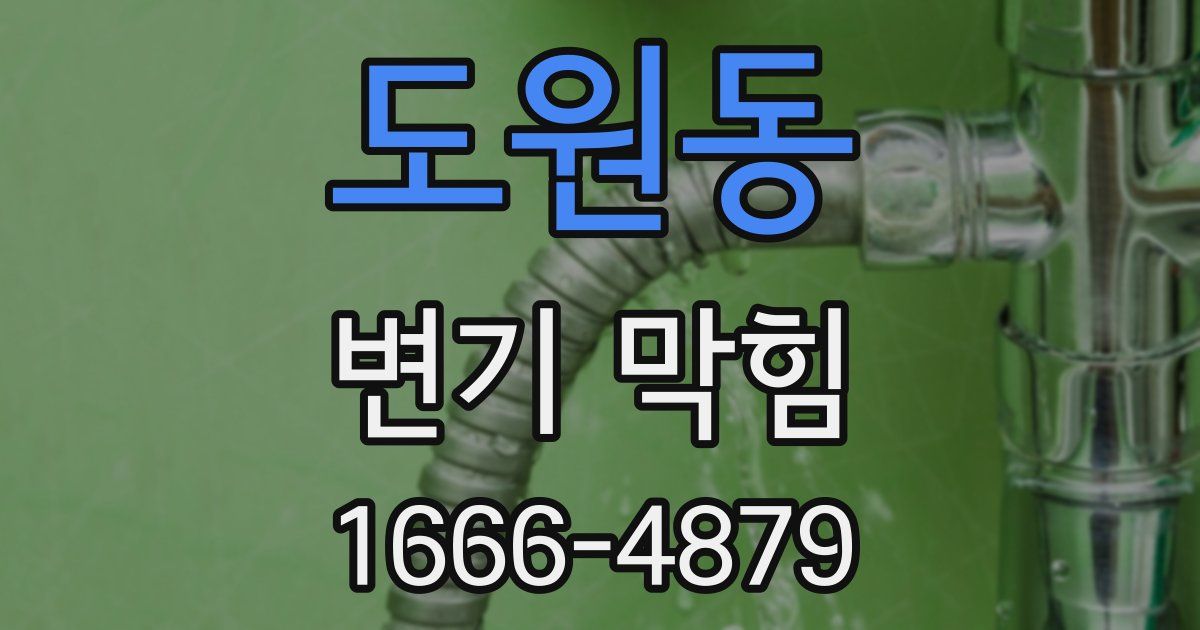 도원동 변기 막힘