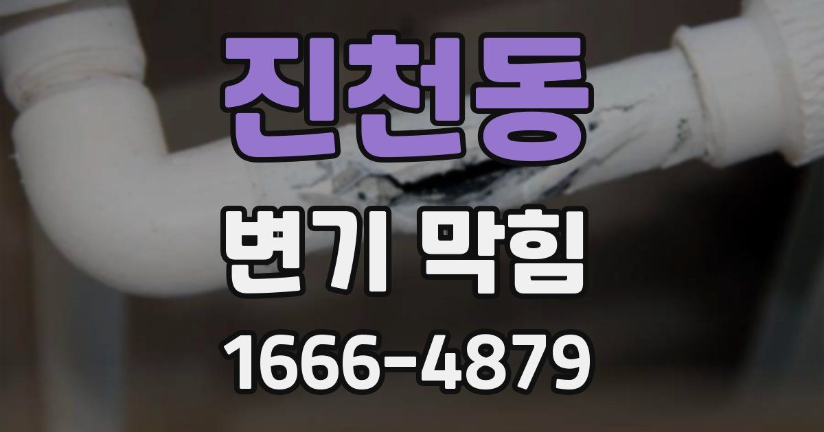 진천동 변기 막힘