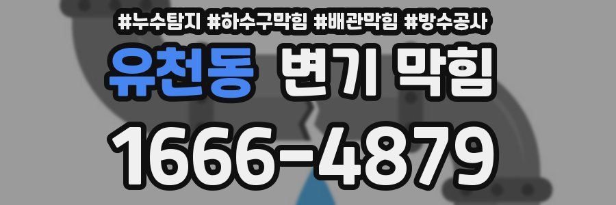 유천동 변기 막힘