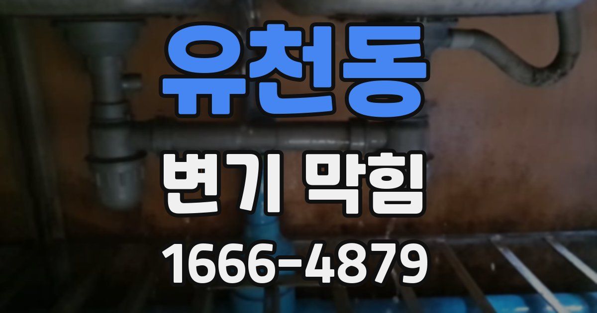 유천동 변기 막힘