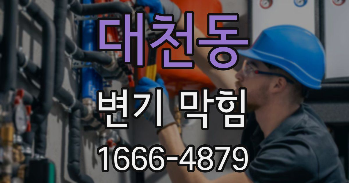 대천동 변기 막힘