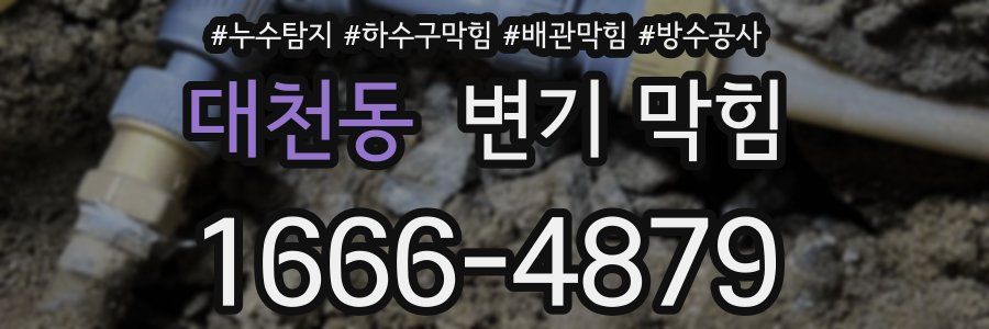 대천동 변기 막힘