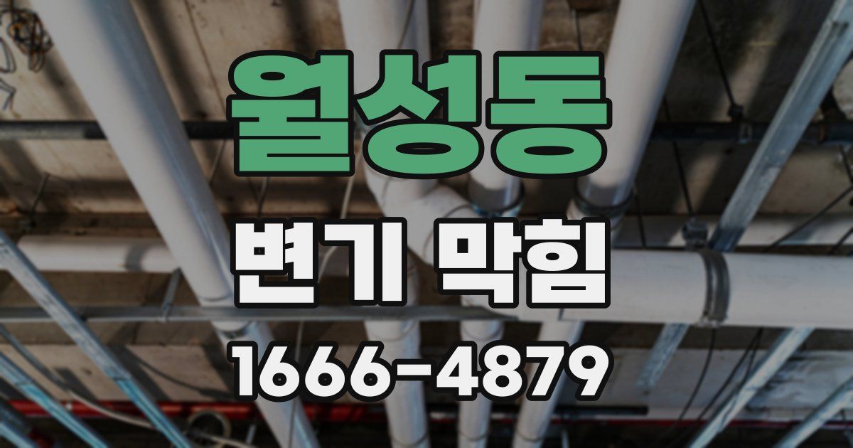 월성동 변기 막힘
