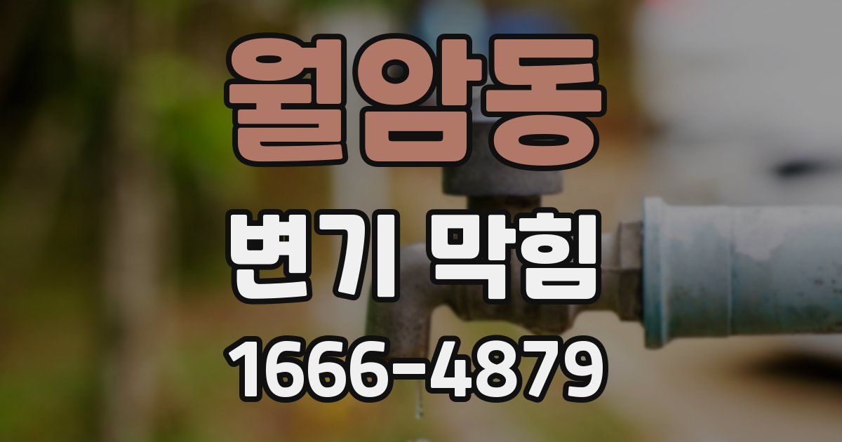 월암동 변기 막힘