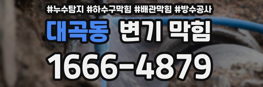 대곡동 변기 막힘